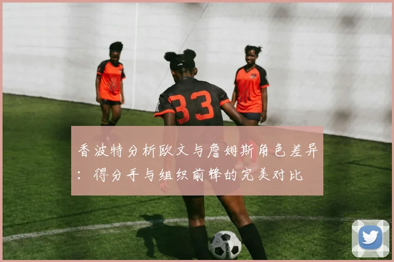香波特分析欧文与詹姆斯角色差异：得分手与组织前锋的完美对比